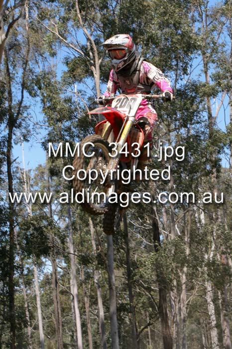 444x677 pixels (103K)